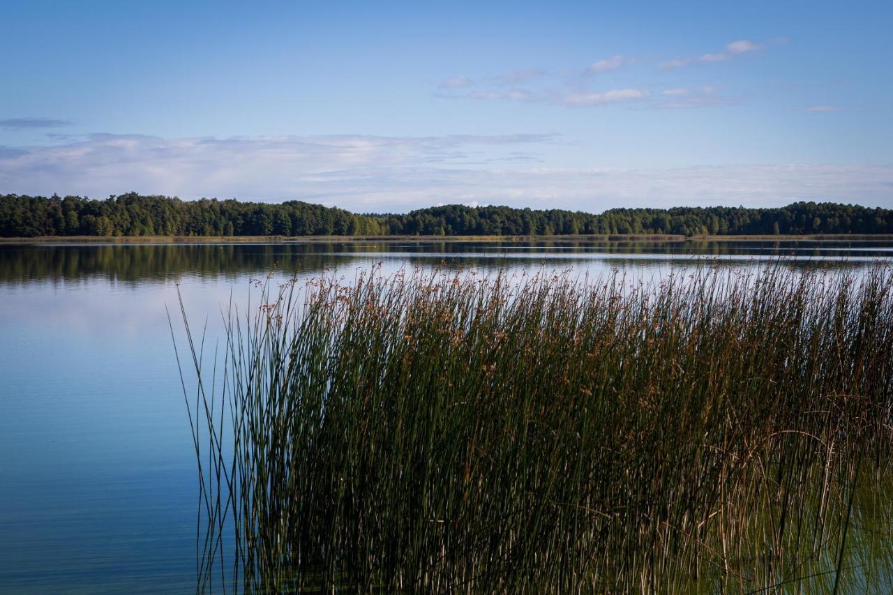 Villa Saski Zakatek, W Bajkowym Domku!!! Mazury, Sauna, Jezioro, Pomost,